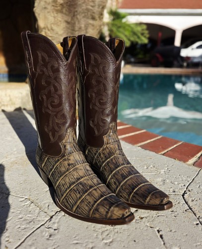 12d custom alligator - 🐊🔥,