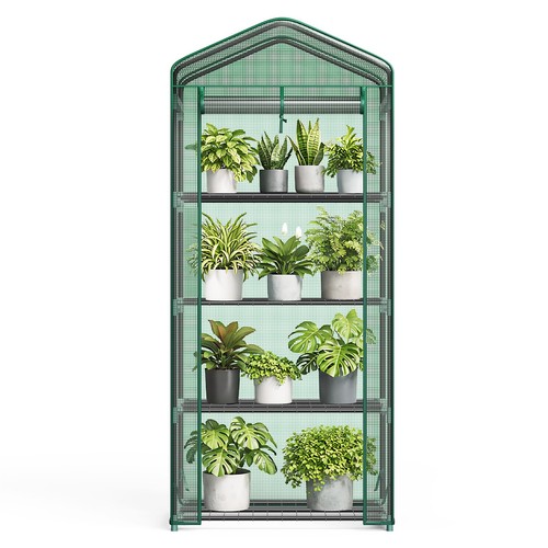 Mini greenhouse with - mini,