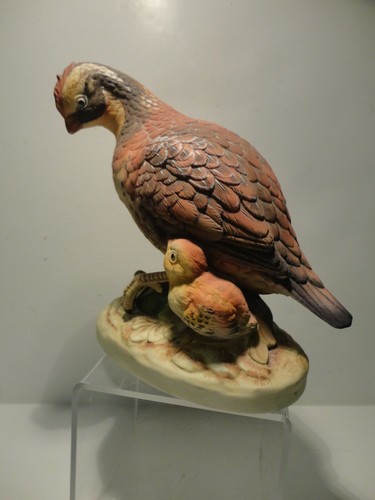 Vtg bobwhite quail mother - vtg,