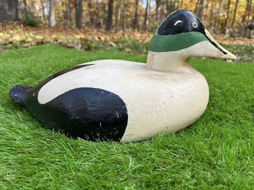 Eider duck decoy