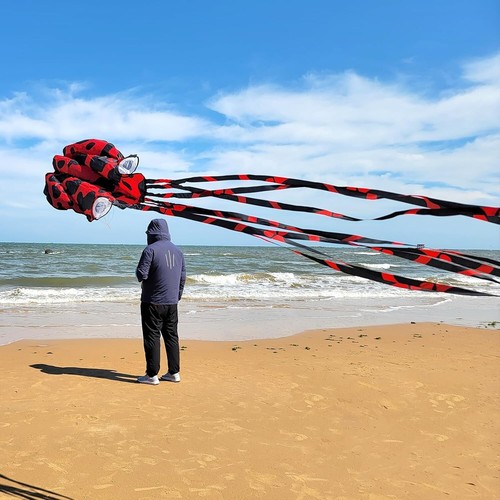 Octopus kite for kids - kite, and