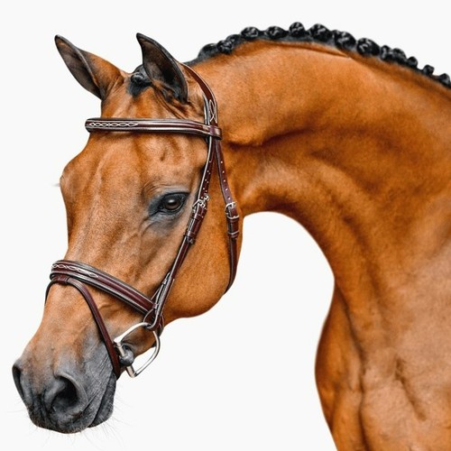 Bello equine fancy - bello-equine, stitch