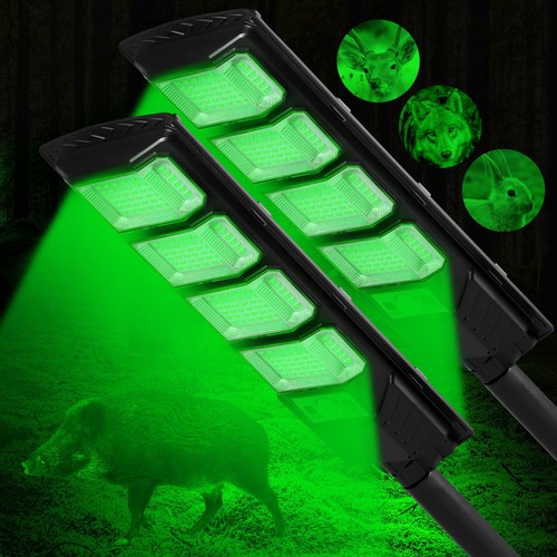 Hog lights for night - hog,