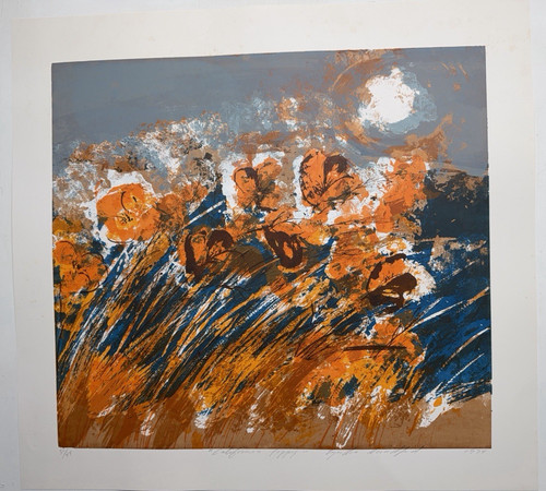 Cyndra bradford signed - bradford,