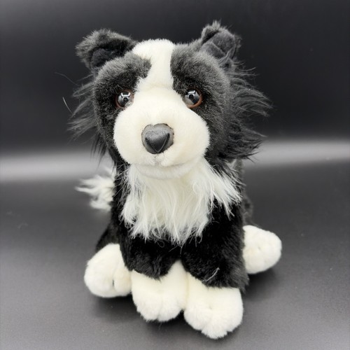 Animal alley border collie - alley,