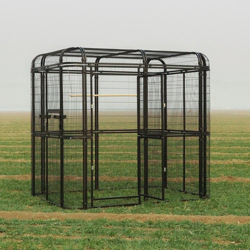 Walk large metal aviary - walk, in