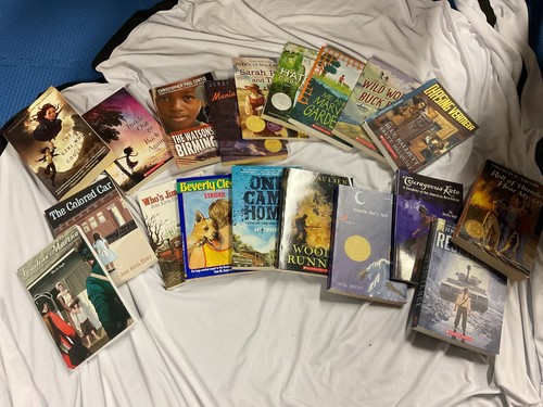Lot box chapter books ages - lot,