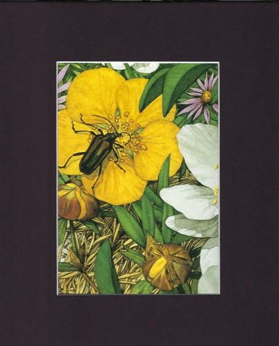 8x10 black matted print - print, fits
