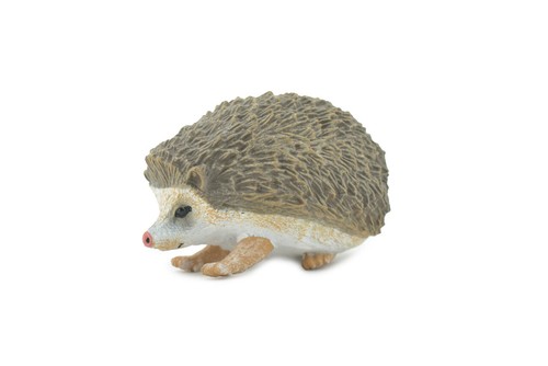 Hedgehog spiny hedge hog - hedge,