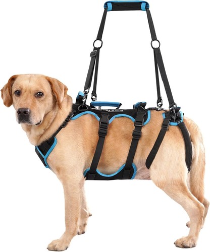 Lafoty dog lift - dog,
