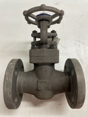 Dsi gate valve - valve, class