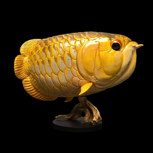 Animal heavenly body asian - animal,