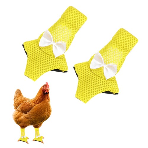 Pack chicken shoes mesh - shoes,,