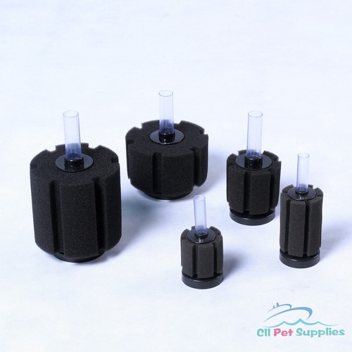 Bio sponge filter breeding - filter, fry
