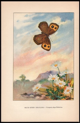 1926 weed vintage color - 1926,