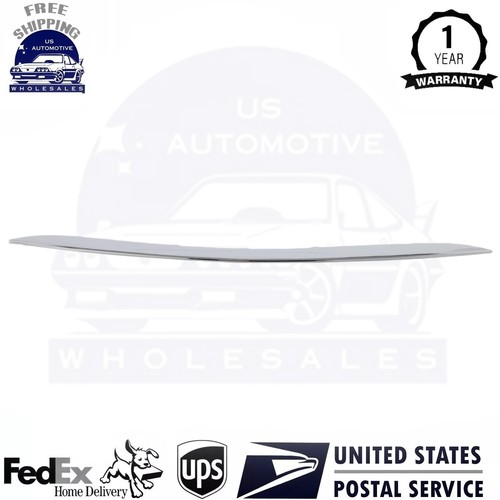 New front bumper molding - bumper, trim