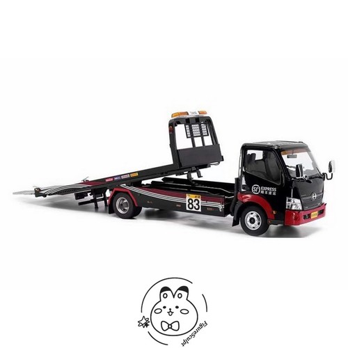Tiny hino 300 sf - 1/18,