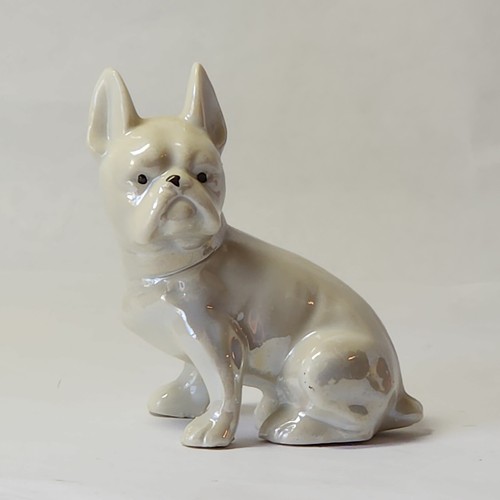 Sitting frenchie dog puppy - dog,