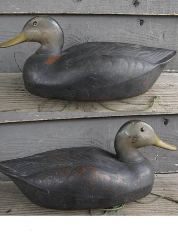 Nice herters wasega - wasega, duck