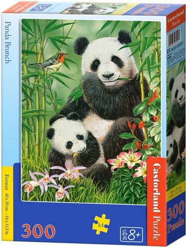 New castorland jigsaw - castorland, puzzle