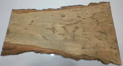 Walnut big slab - walnut,