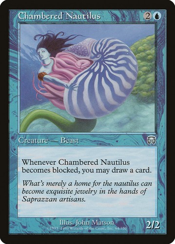 Chambered nautilus - nautilus, (064)