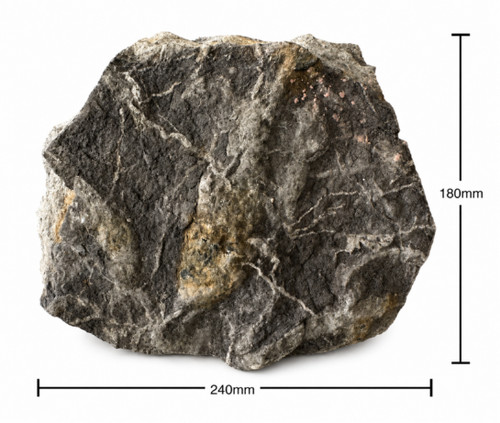 Theropod dinosaur tridactyl - theropod,