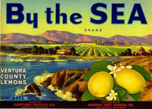 Montalvo ventura county the - ventura,