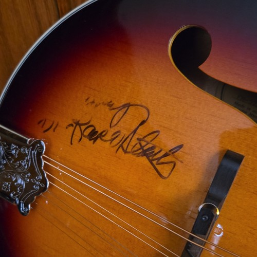 Fender style mandolin - fender,