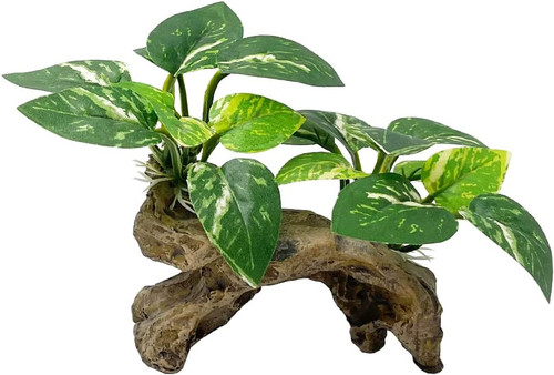 Fish tank decorations aquarium - fish,