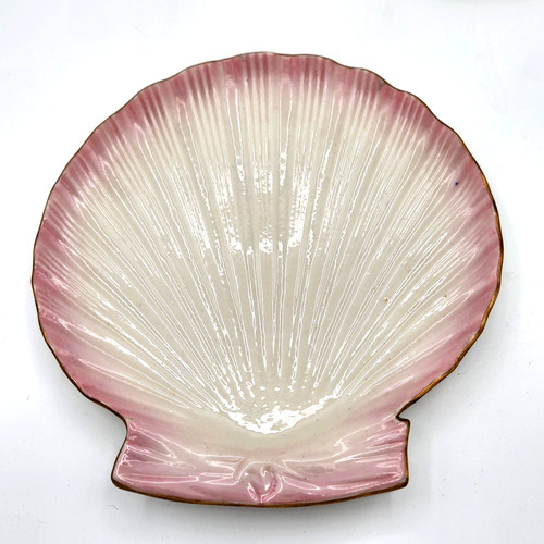 Antique belleek tridacna - 8.25",