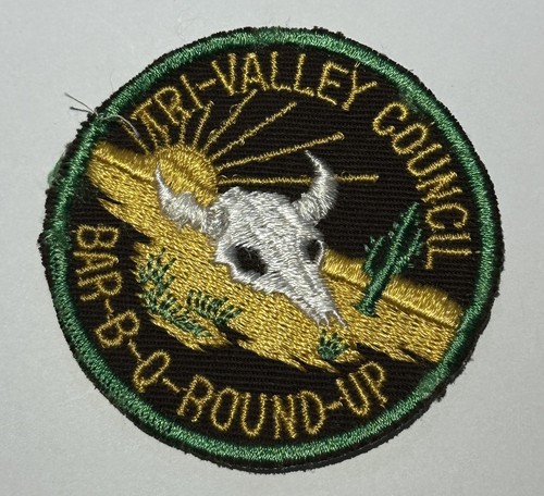 Tri valley council bar bbq - bar, b