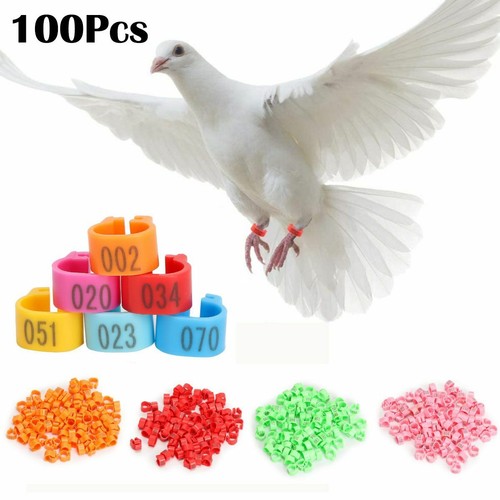 100pcs bird rings - bird, leg