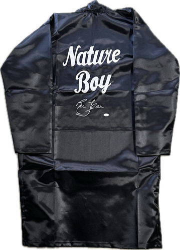 Ric flair nature - flair, boy"