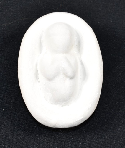 Pottery barn white ceramic - white,