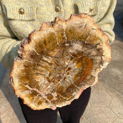 4lb large beautiful - large,