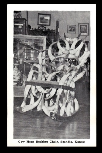 Cow horn rocking - horn,