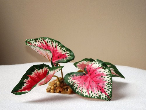 Tall mini leaf pink - mini,