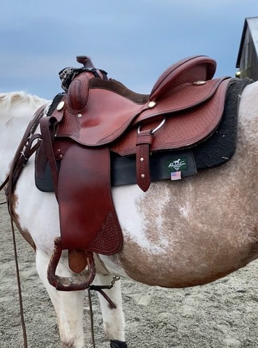 Experience leather reining - leather,