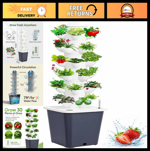 Glass plants propagation - plants,