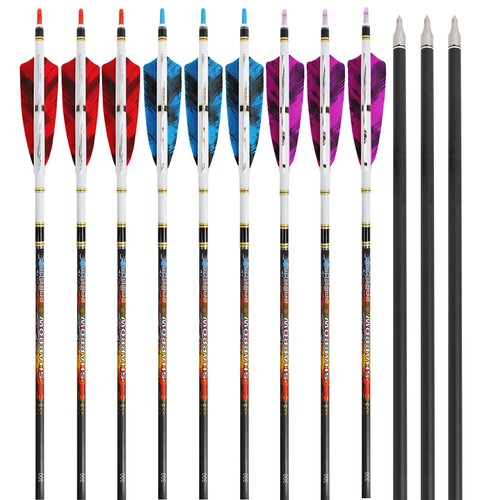 Archery pure carbon - 31", arrows