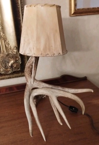Whitetail deer antler lamp - antler,