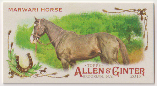 2017 topps allen - 2017,