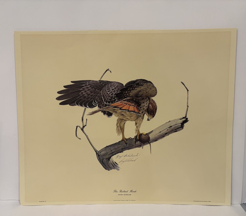 Guy coheleach signed print - guy,
