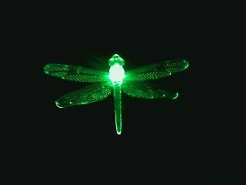 Dragonfly solar garden - dragonfly,