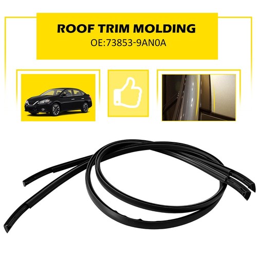 Roof drip moulding - moulding, pair