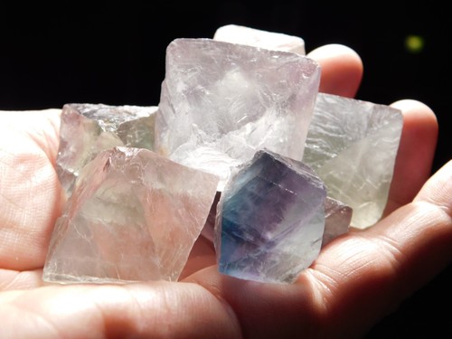 Big lot eight translucent - eight!,