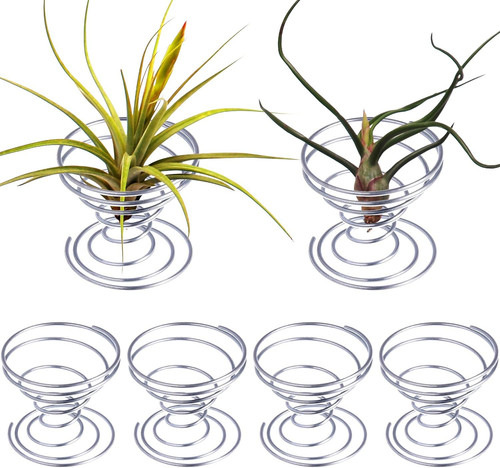 Pieces air plant holder - 6,