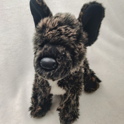 Billie french bulldog - billie,