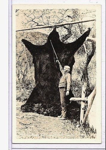 Real photo postcard rppc - real,